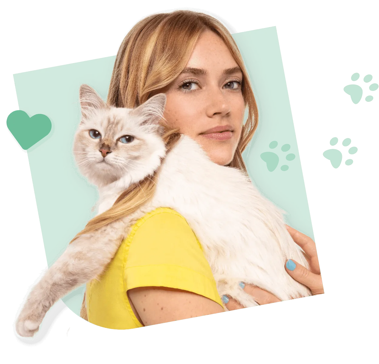 Pics anti chat offres & prix 
